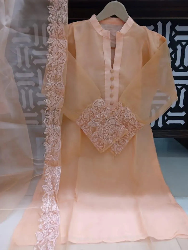 3 Pcs Women's Stitched Organza Embroidered Suit
